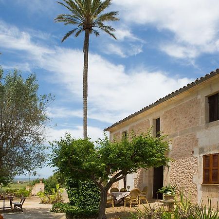 Agroturismo Es Pla De Llodra Manacor  Bagian luar foto