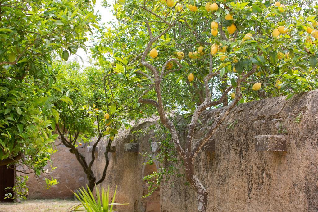 Agroturismo Es Pla De Llodra Manacor  Bagian luar foto